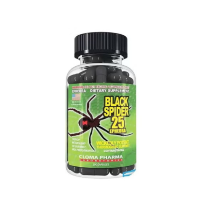 Black spider